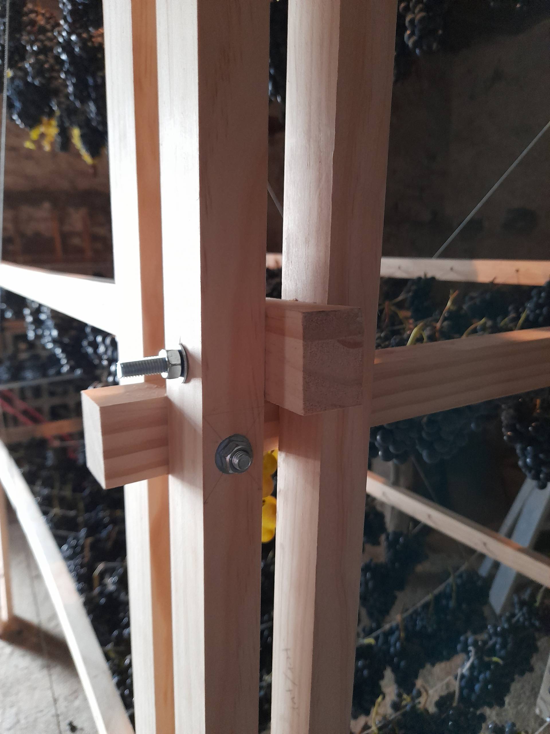 Pasifier Pasificadora